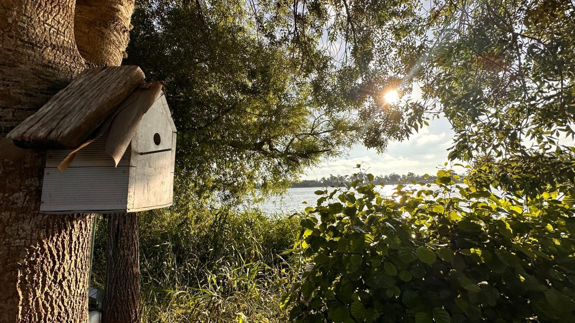 Casa Do Areal, Refugio Das Rotas Pedestres Em Mira Mira  Εξωτερικό φωτογραφία