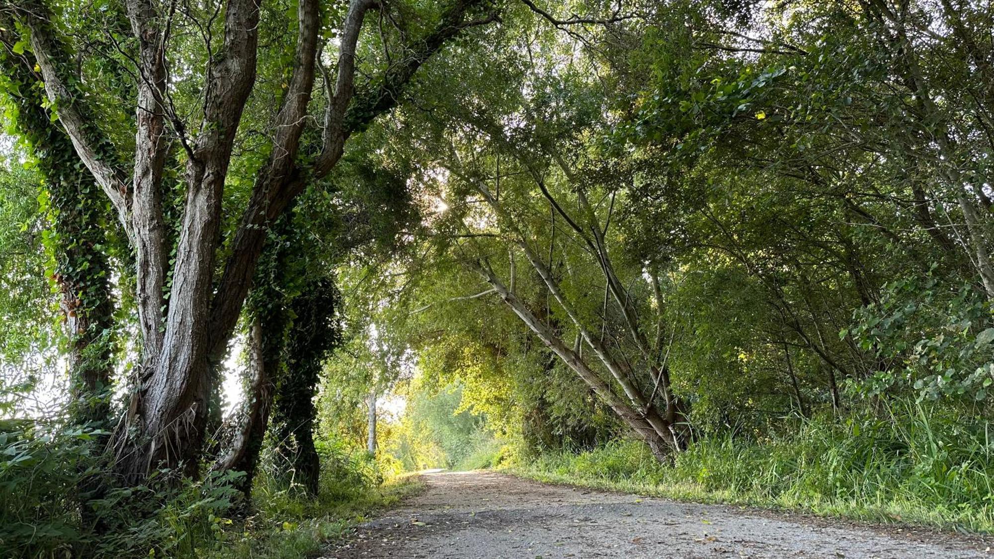 Casa Do Areal, Refugio Das Rotas Pedestres Em Mira Mira  Εξωτερικό φωτογραφία